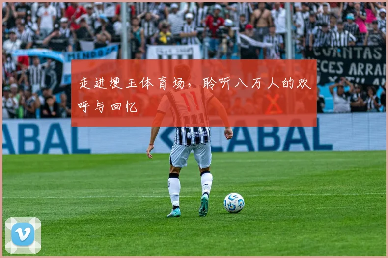走进埂玉体育场，聆听八万人的欢呼与回忆