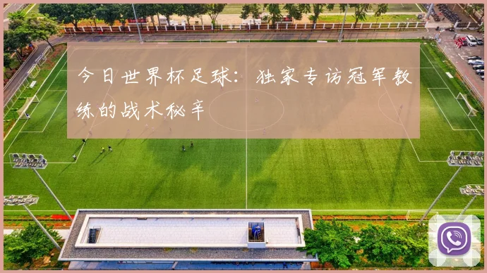 今日世界杯足球：独家专访冠军教练的战术秘辛