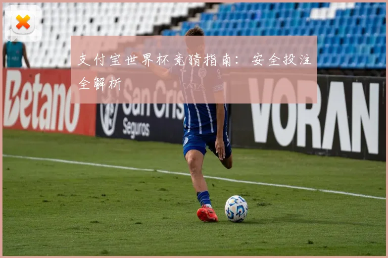 支付宝世界杯竞猜指南：安全投注全解析