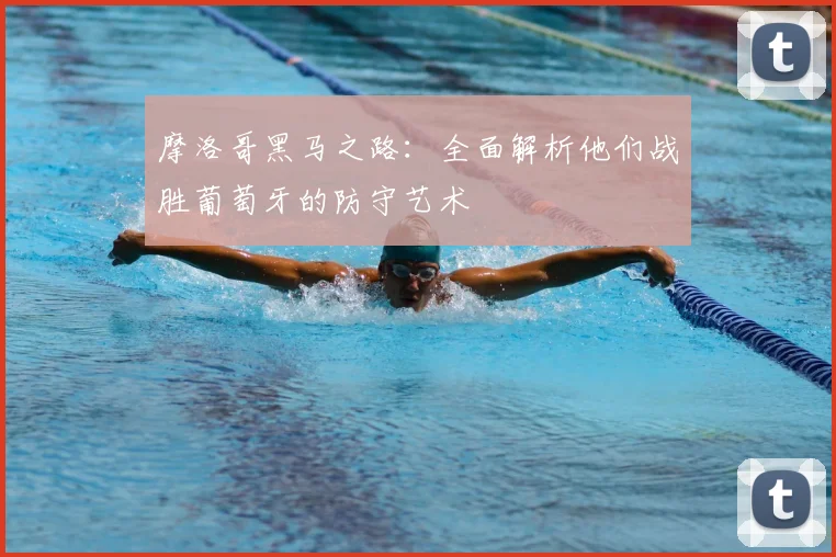 摩洛哥黑马之路：全面解析他们战胜葡萄牙的防守艺术