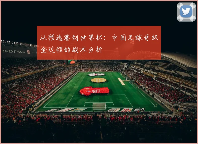 从预选赛到世界杯：中国足球晋级全过程的战术分析