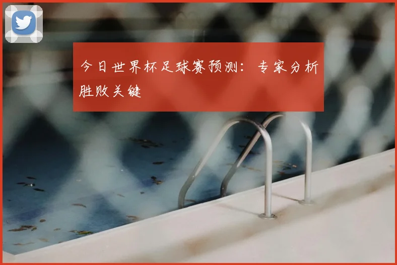 今日世界杯足球赛预测：专家分析胜败关键