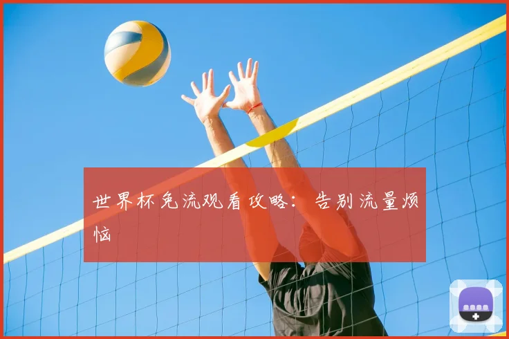 世界杯免流观看攻略:告别流量烦恼