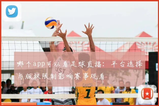 哪个app可以看足球直播：平台选择与版权限制影响赛事观看