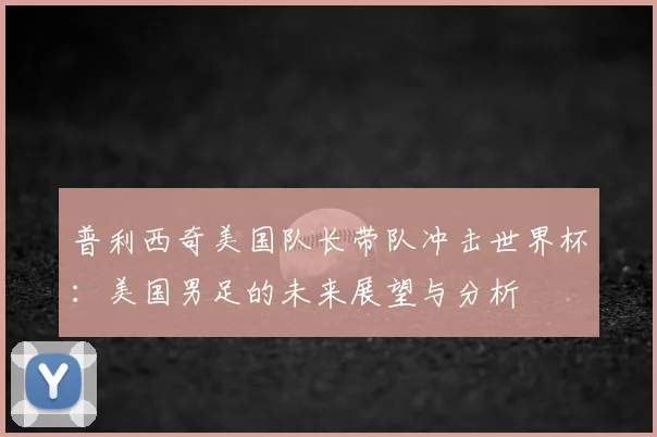 普利西奇美国队长带队冲击世界杯：美国男足的未来展望与分析